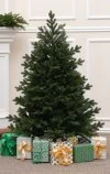 Künstlicher Weihnachtsbaum wie echt 150 cm-Grandis Fir