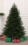 Künstlicher Weihnachtsbaum wie echt 210 cm-Grandis Fir
