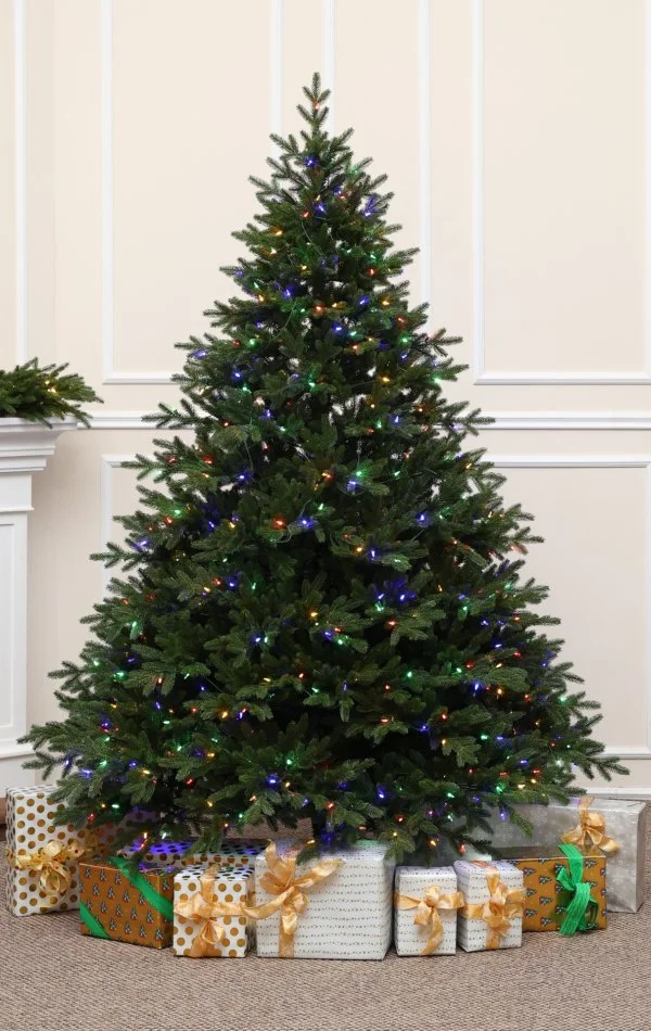  Brad de Crăciun Full 3D Alpine Fraser Duala LED-240cm-750 lumini