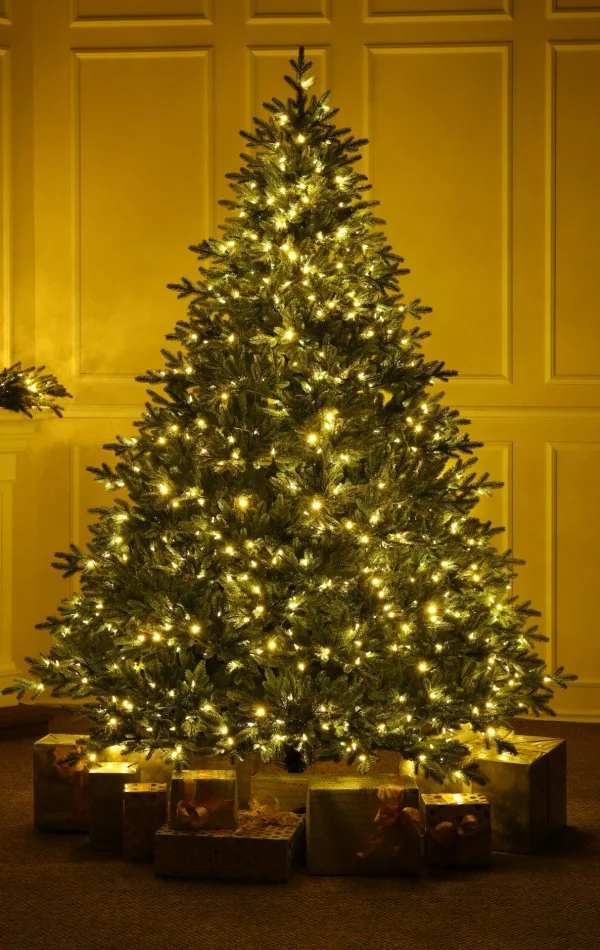  Brad de Crăciun Full 3D Alpine Fraser Duala LED-270cm-900 lumini