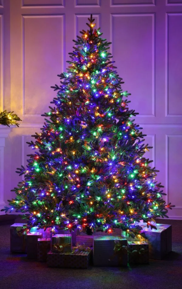  Brad de Crăciun Full 3D Alpine Fraser Duala LED-270cm-900 lumini