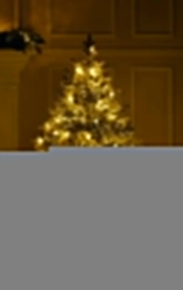 Weihnachtsbaum mit Schnee 300 Dual Led-150 cm Alpine Fraser Snowy