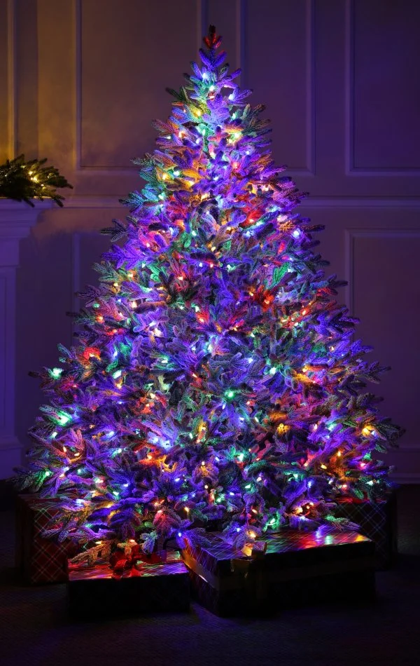 Weihnachtsbaum mit Schnee 550 Dual Led-210 cm Alpine Fraser Snowy