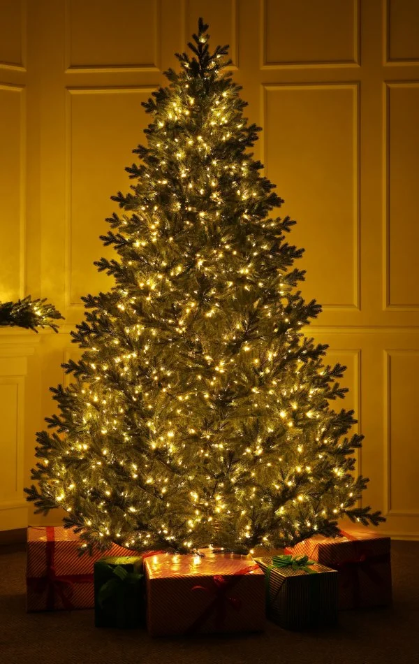 Brad artificial de lux cu ace 300 cm, Full 3D Grandis Fir cu iluminare 1850 LED-elegantă naturală cu lumini