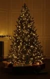 Spritzguss Weihnachtsbaum mit LED 1250-300 cm-Sherwood Spruce