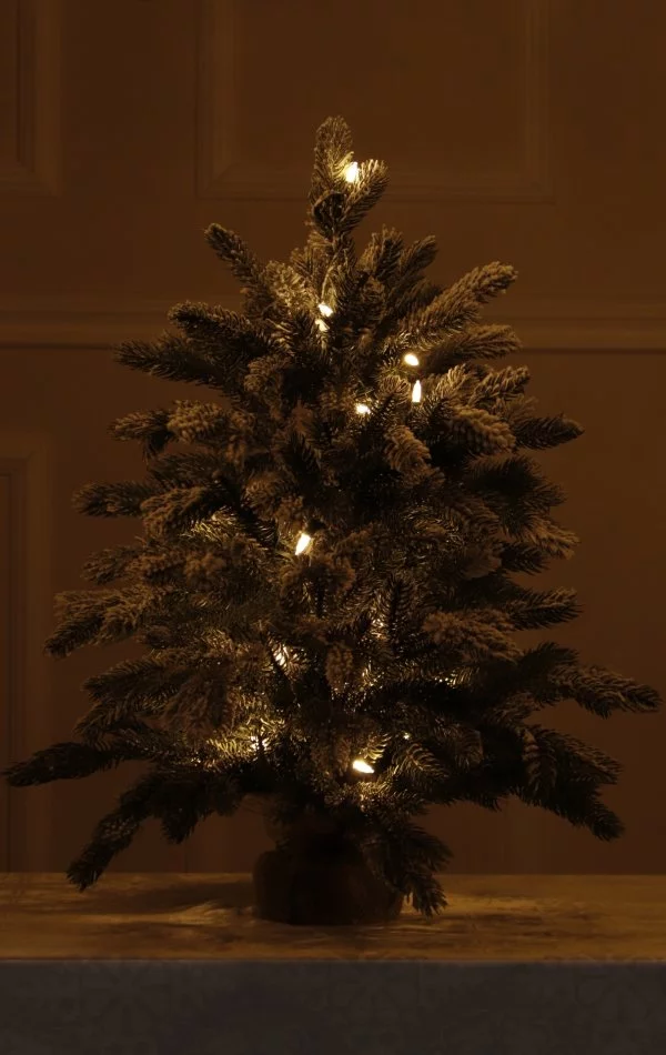 Weihnachtsbaum im Topf mit Schnee 30 LED-68 cm-White Angel