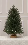 Weihnachtsbaum im Topf-90cm-100% Spritzguss Nadeln-Sherwood Spruce