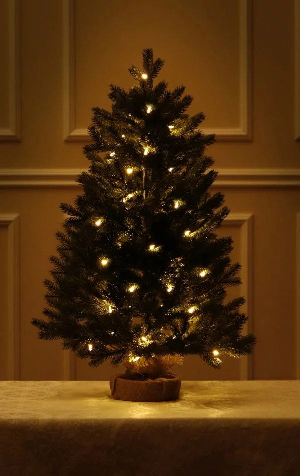Weihnachtsbaum im Topf-50 LED-90 cm-100% Spritzguss Nadeln-Sherwood Spruce