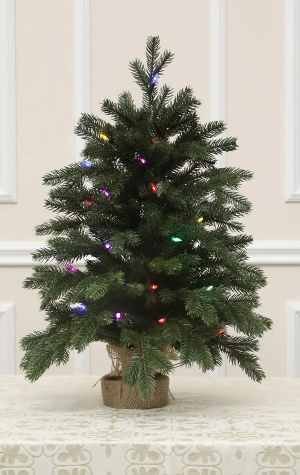 Weihnachtsbaum im Topf 30 LED-68 cm-Sherwood Spruce
