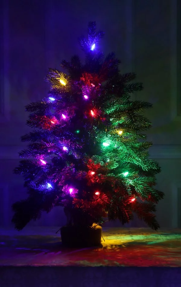 Weihnachtsbaum im Topf 30 LED-68 cm-Sherwood Spruce