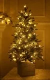 Brad artificial in ghiveci 150 LED-122 cm Aspen Fir