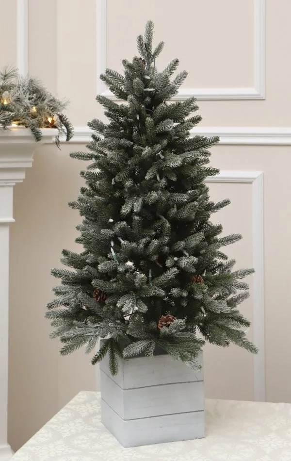 Weihnachtsbaum im Topf 122 cm-Aspen Fir mit Schnee