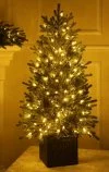 Weihnachtsbaum im Topf LED 200-122 cm Norway Spruce