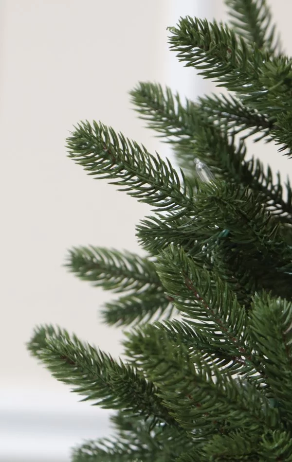 Weihnachtsbaum im Topf 122 cm-Norway Spruce