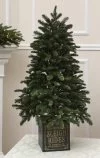 Weihnachtsbaum im Topf 122 cm-Balsam Hill