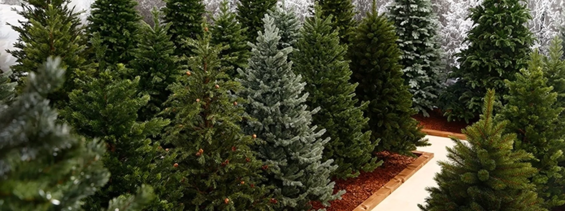 Künstlicher Weihnachtsbaum wie echt